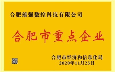 合肥市重點(diǎn)企業(yè)